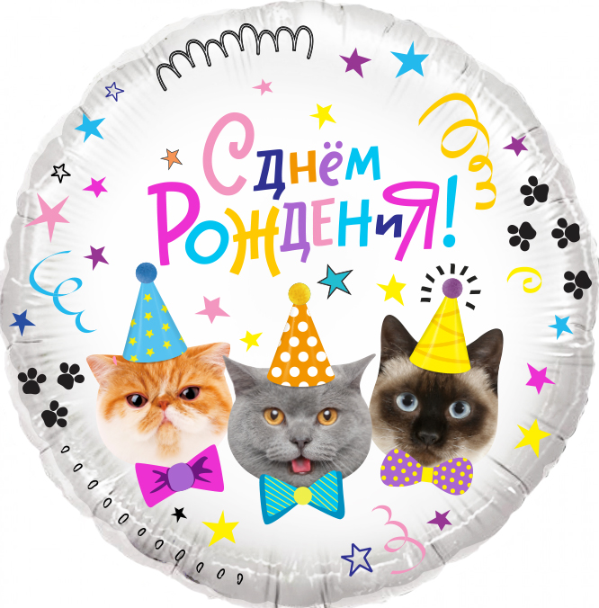 Белый шар с котиками в праздничных шляпах и надписью С Днём Рождения разноцветными буквами, купить в Букет шаров Измайлово.