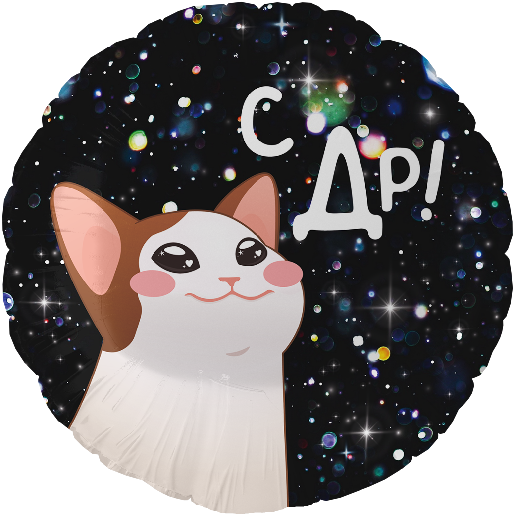 Круглый шар с котиком и надписью «С ДР» на фоне космоса и звёзд, купить в Букет шаров Измайлово.
