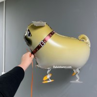 mops-hodyachij-shar-61-sm-buketsharov3